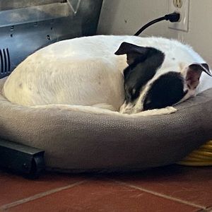 Meet your Posher, Janelle